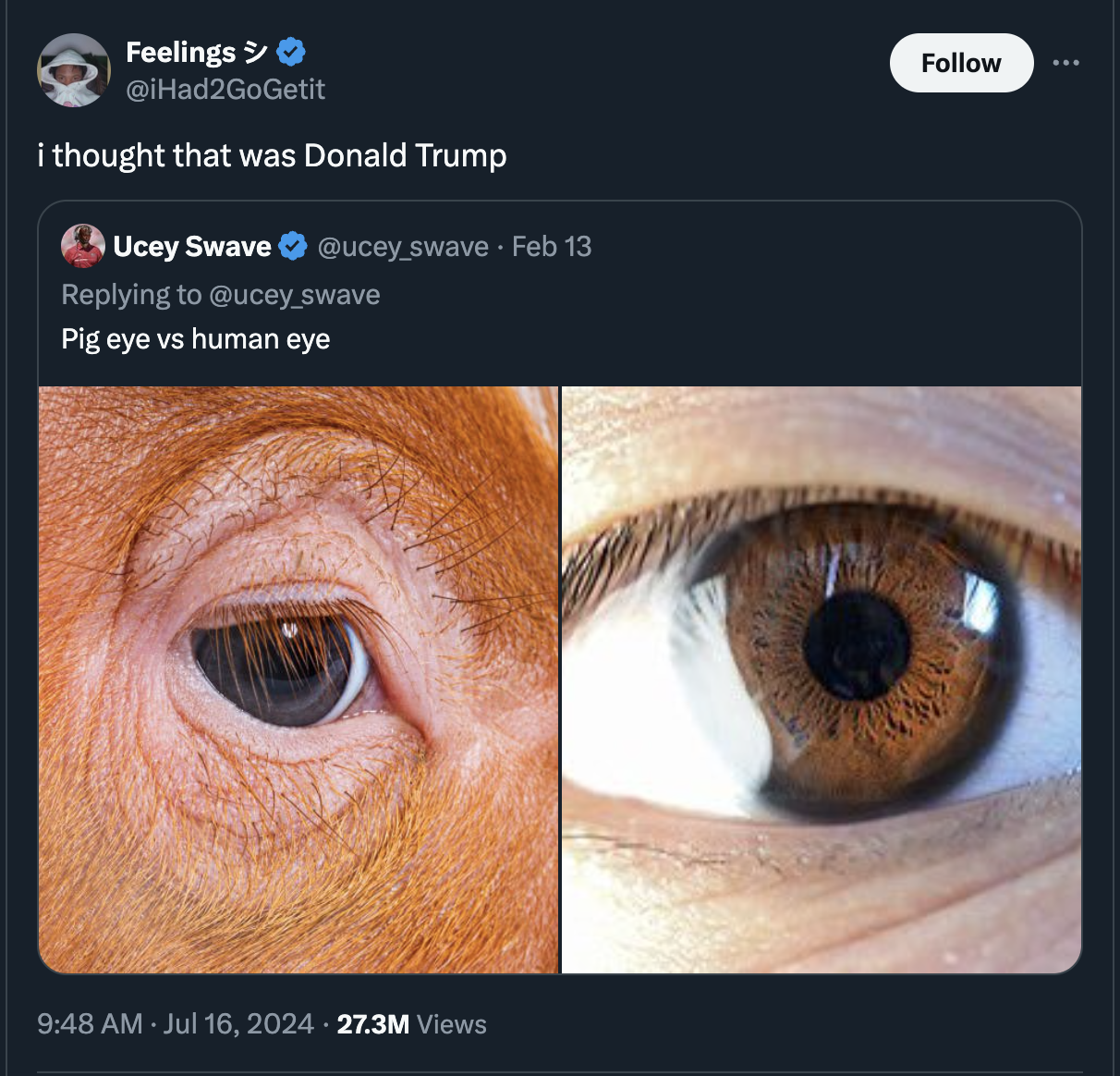 pig eye vs human eye meme - Feelings i thought that was Donald Trump Ucey Swave Feb 13 Pig eye vs human eye 27.3M Views